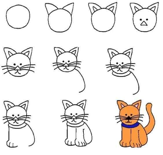 Bir kedi fikri 17 çizimi