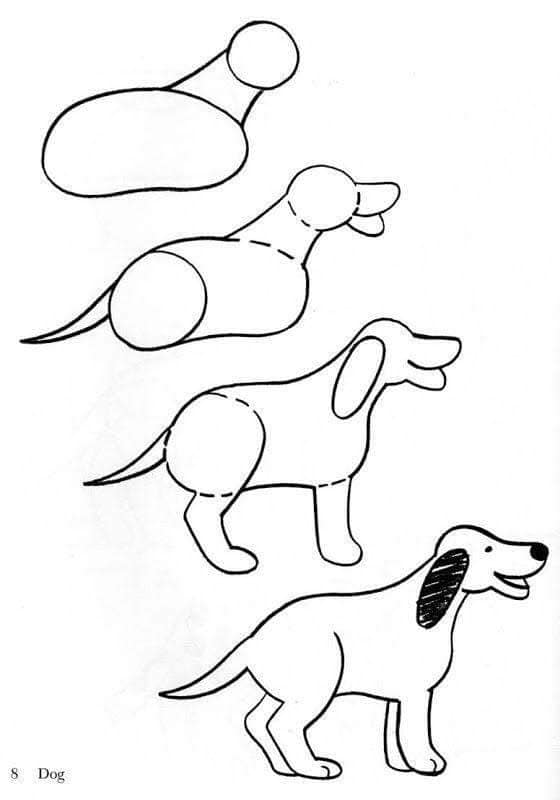 Bir Köpek - Fikir 4 çizimi