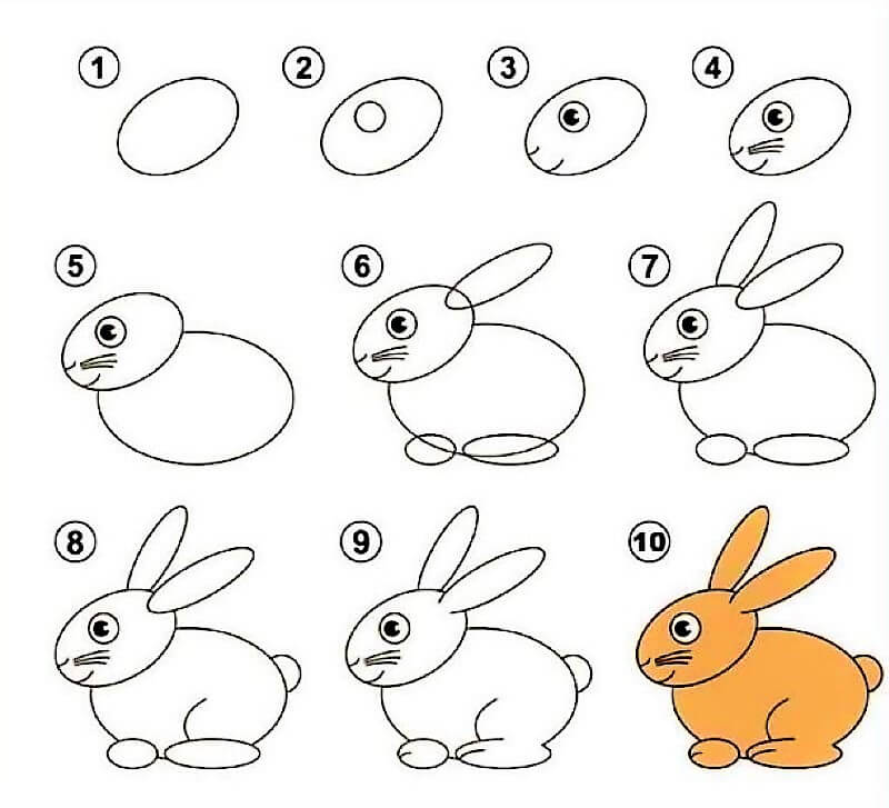 Tavşan Fikir 10 çizimi