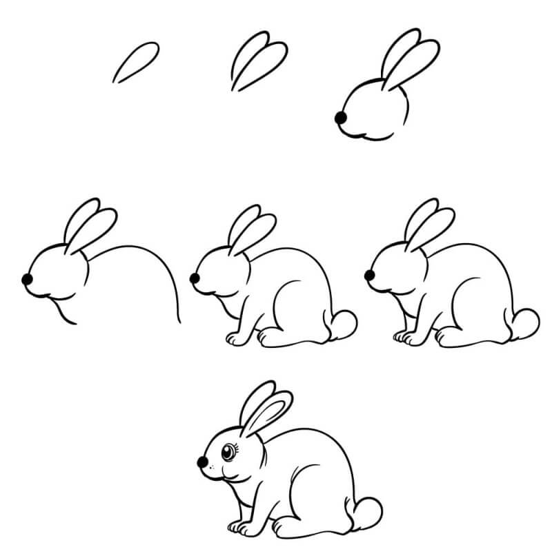 Tavşan Fikir 12 çizimi