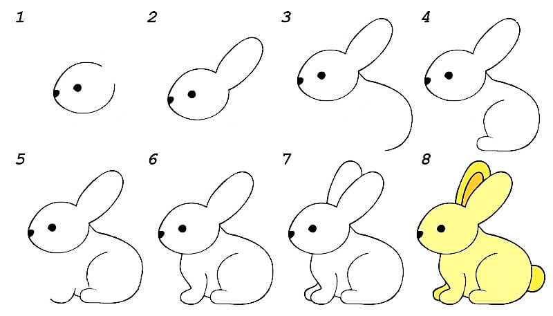 Tavşan Fikir 9 çizimi