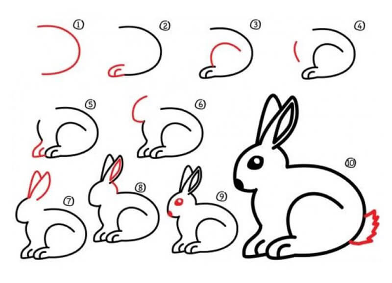 Tavşan Fikri 15 çizimi
