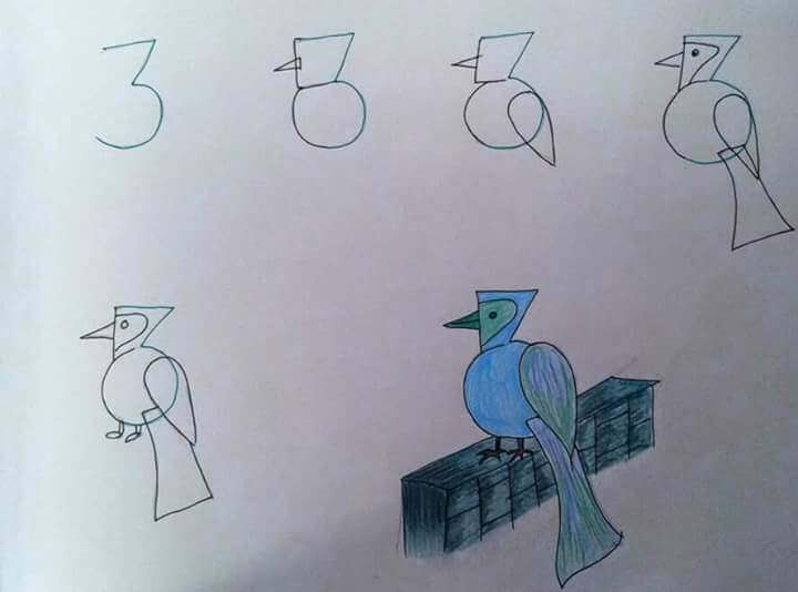 3 Numaralı Kuş çizimi