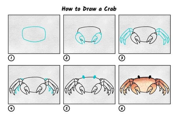 A Crab Idea 4 çizimi