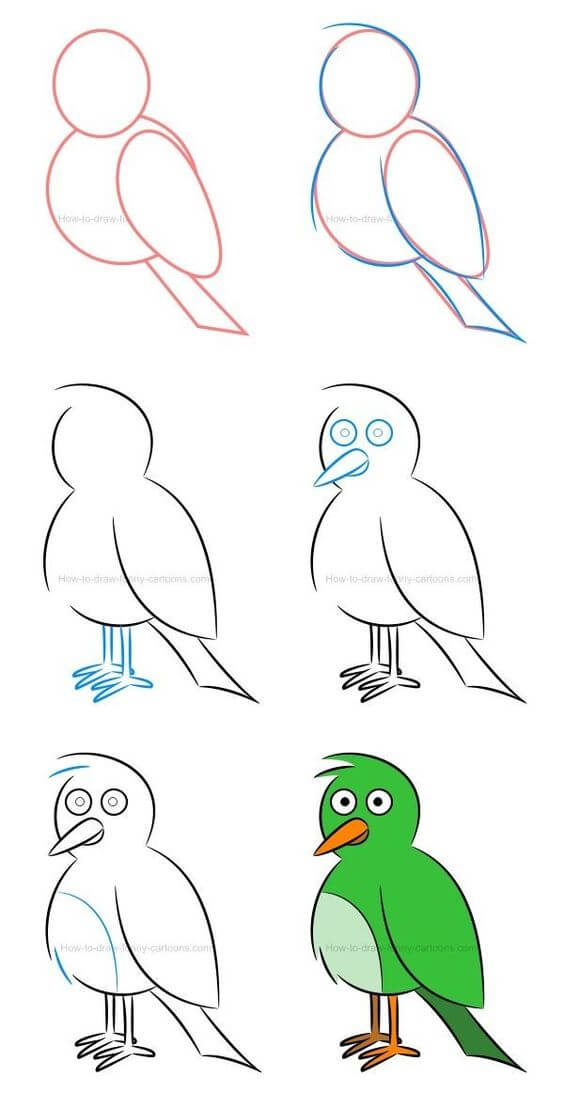 Amerika papağanı (1) çizimi