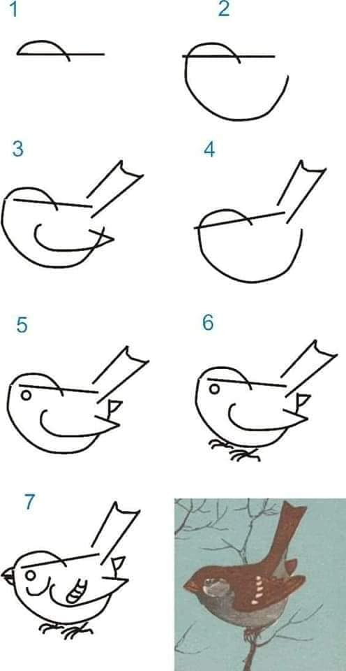 Bir Kuş – Fikir 9 çizimi