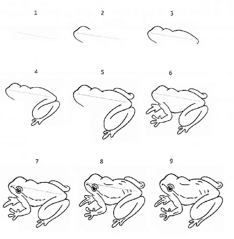 Bir Kurbağa Kroki çizimi
