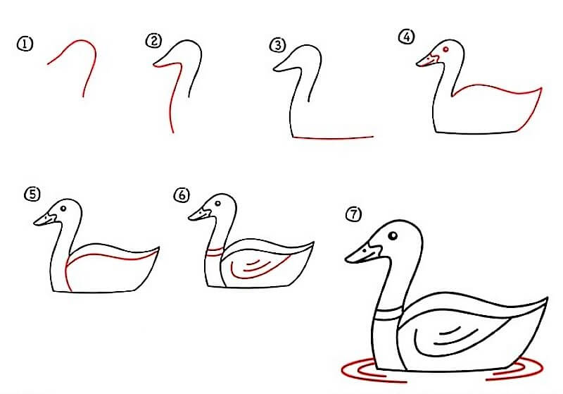 Duck Idea 13 çizimi