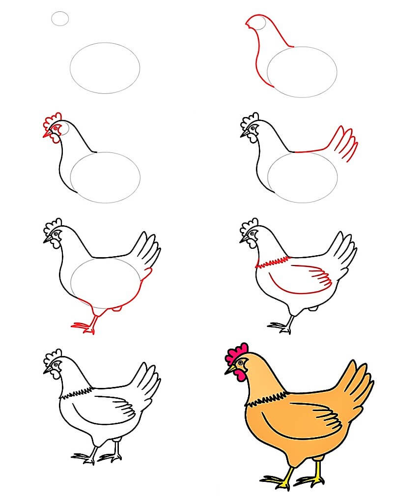 Güzel Bir Tavuk çizimi