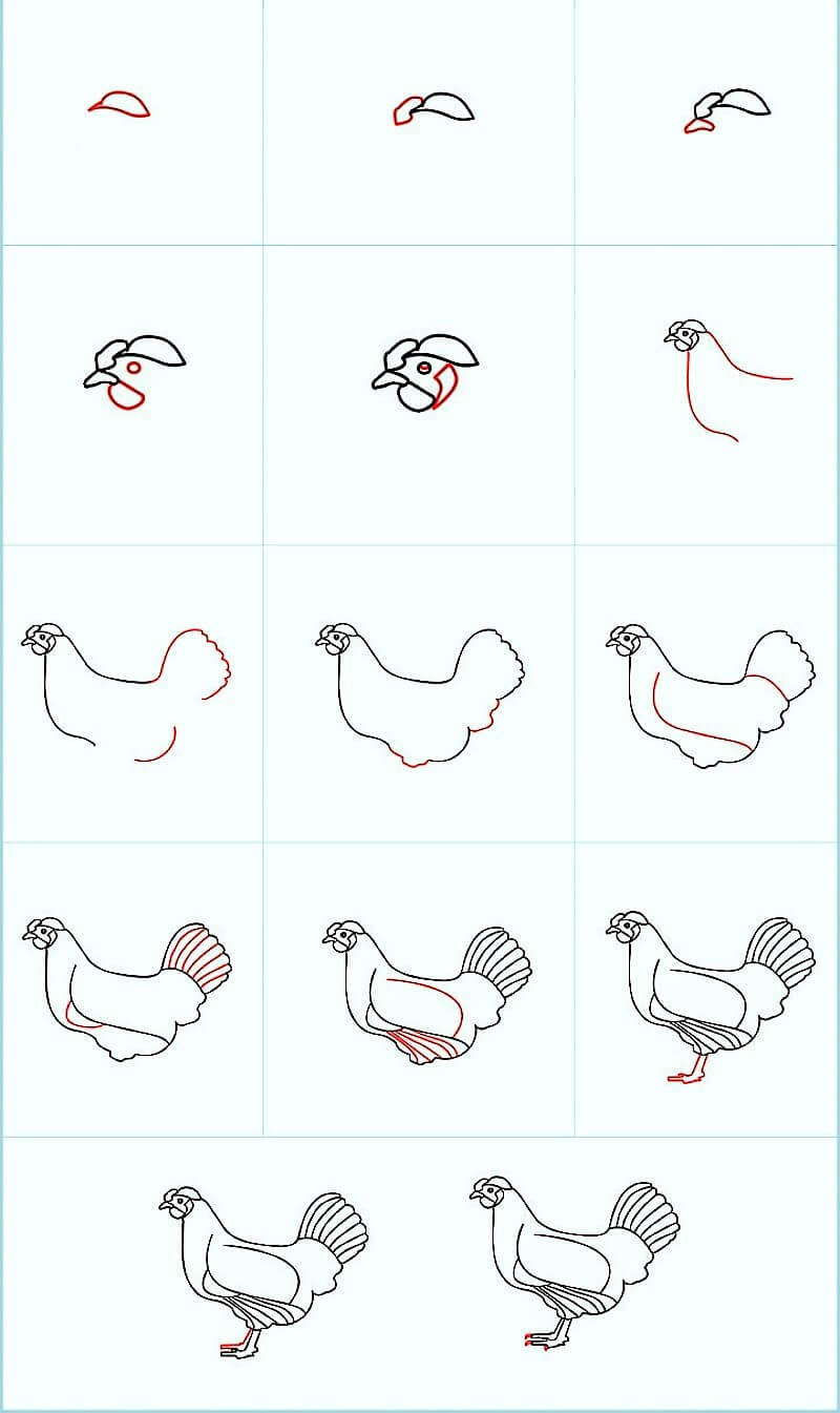 Güzel Bir Tavuk çizimi
