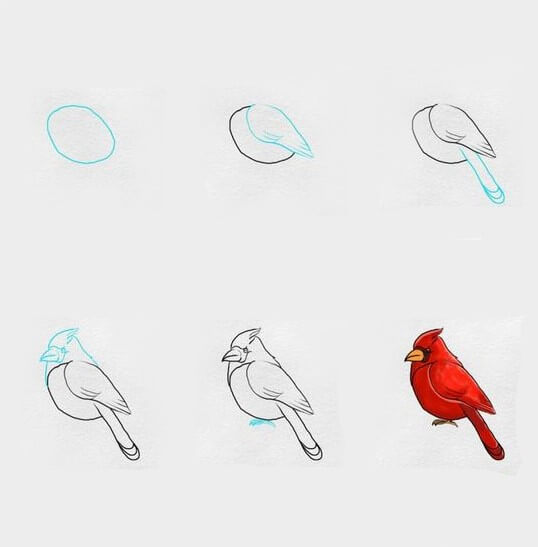 Kırmızı kuş çizimi