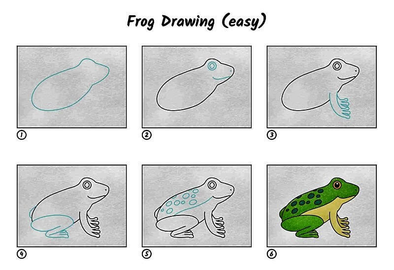 Kolay Bir Kurbağa çizimi