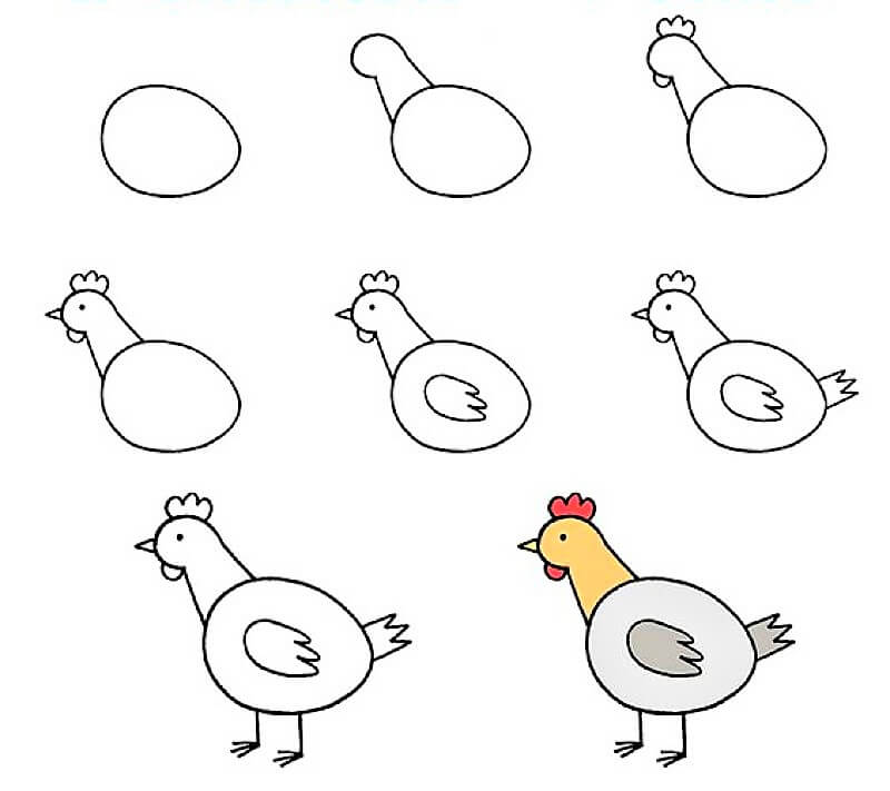 Kolay Bir Tavuk çizimi