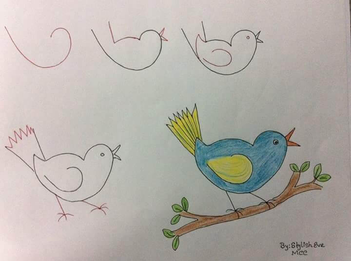 Kuş Fikri 6 çizimi