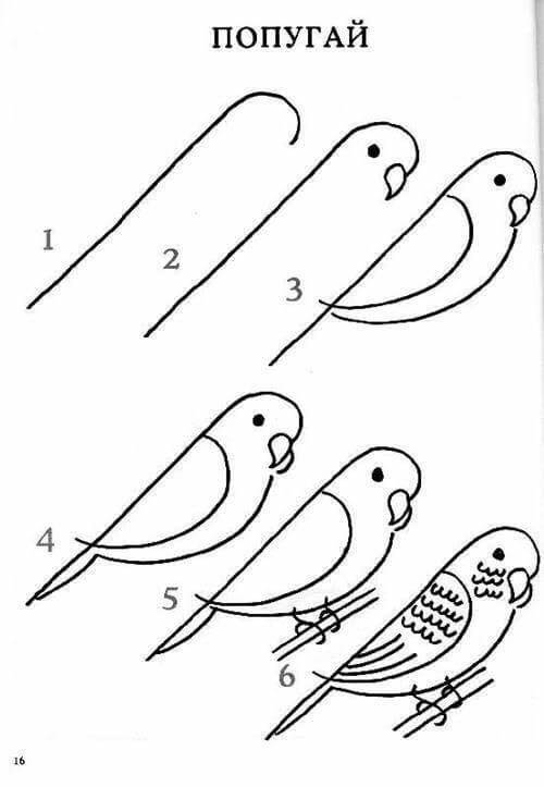 Kuş Fikri 7 çizimi