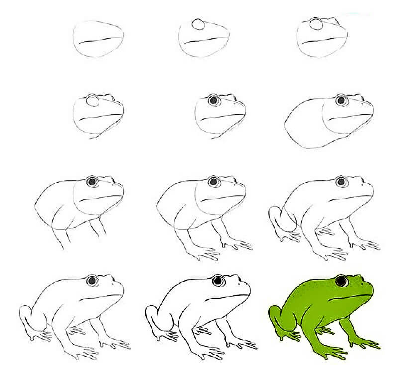 Kurbağa Fikir 15 çizimi