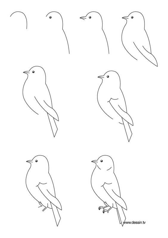 Kuş fikri (10) çizimi