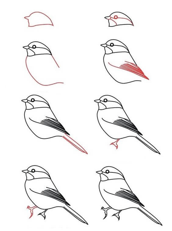 Kuş fikri (11) çizimi