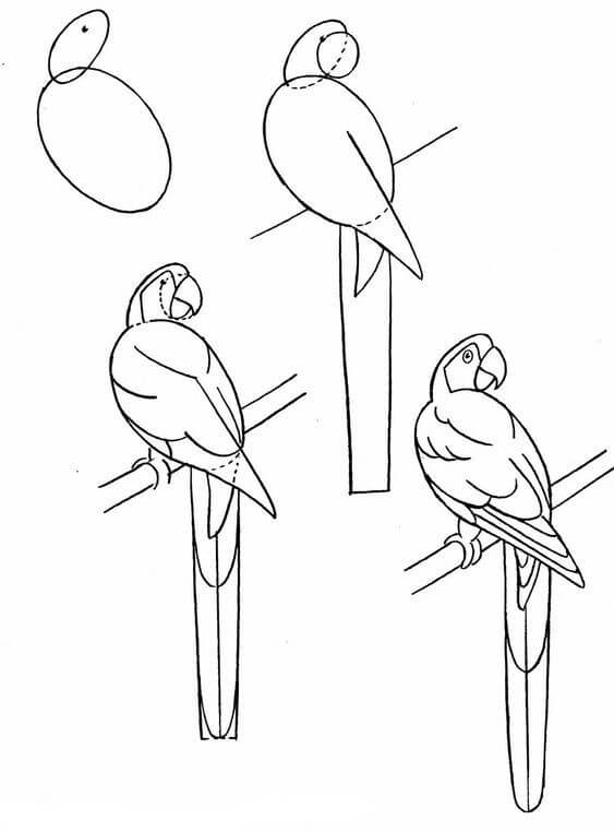 Kuş fikri (12) çizimi