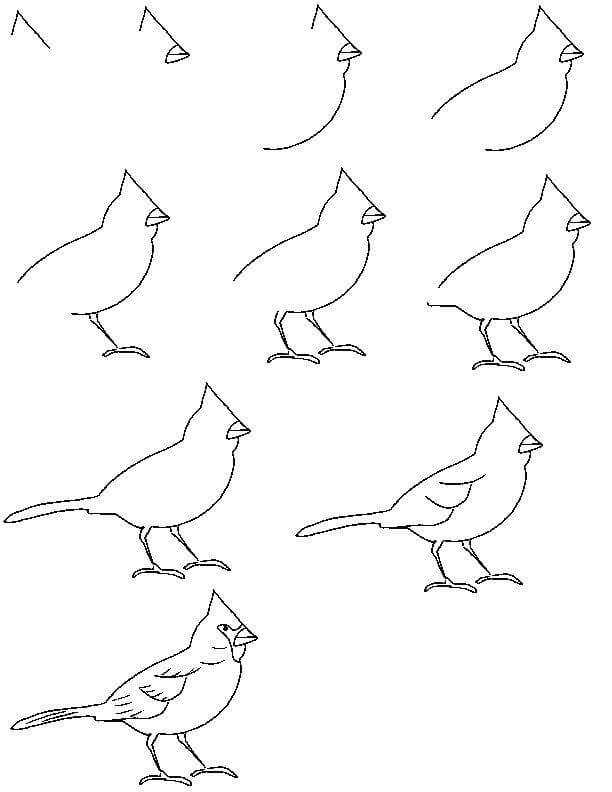 Kuş fikri (13) çizimi