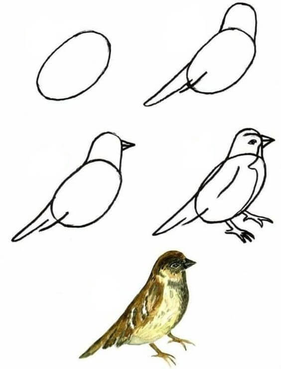 Kuş fikri (14) çizimi