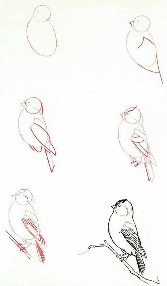 Kuş fikri (19) çizimi
