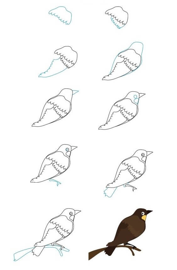 Kuş fikri (2) çizimi