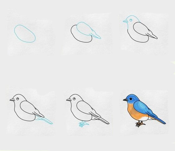 Kuş fikri (20) çizimi