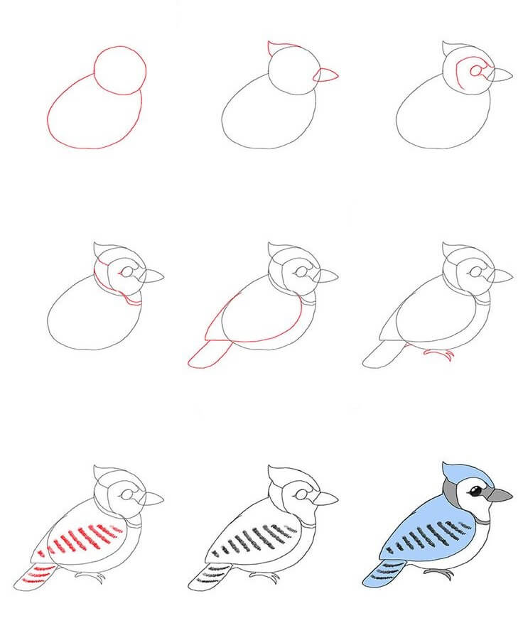 Kuş fikri (21) çizimi