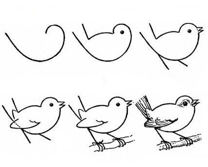 Kuş fikri (22) çizimi