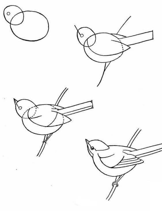 Kuş fikri (24) çizimi