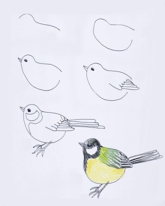 Kuş fikri (25) çizimi