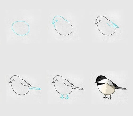 Kuş fikri (27) çizimi