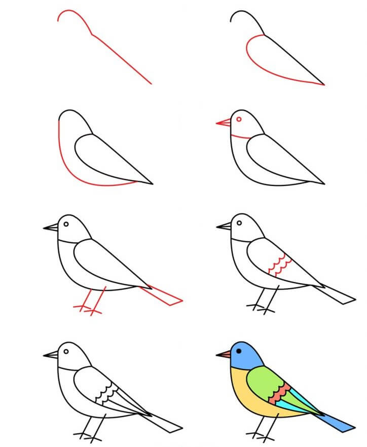 Kuş fikri (6) çizimi