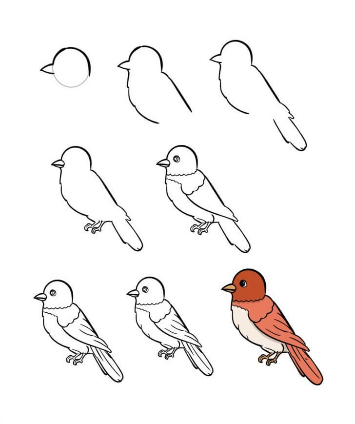 Kuş fikri (7) çizimi