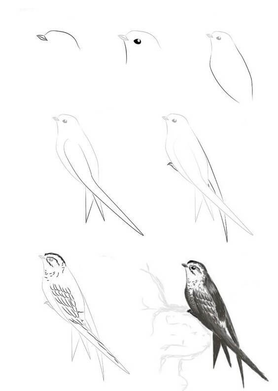 Kuş fikri (8) çizimi