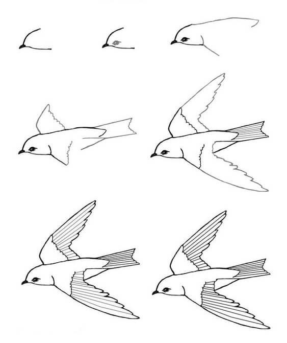 Kuş yuvası (1) çizimi