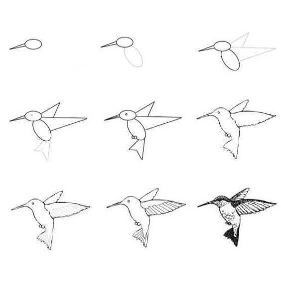 Sinek kuşu (1) çizimi