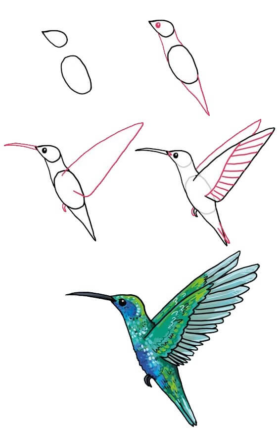 Sinek kuşu (2) çizimi