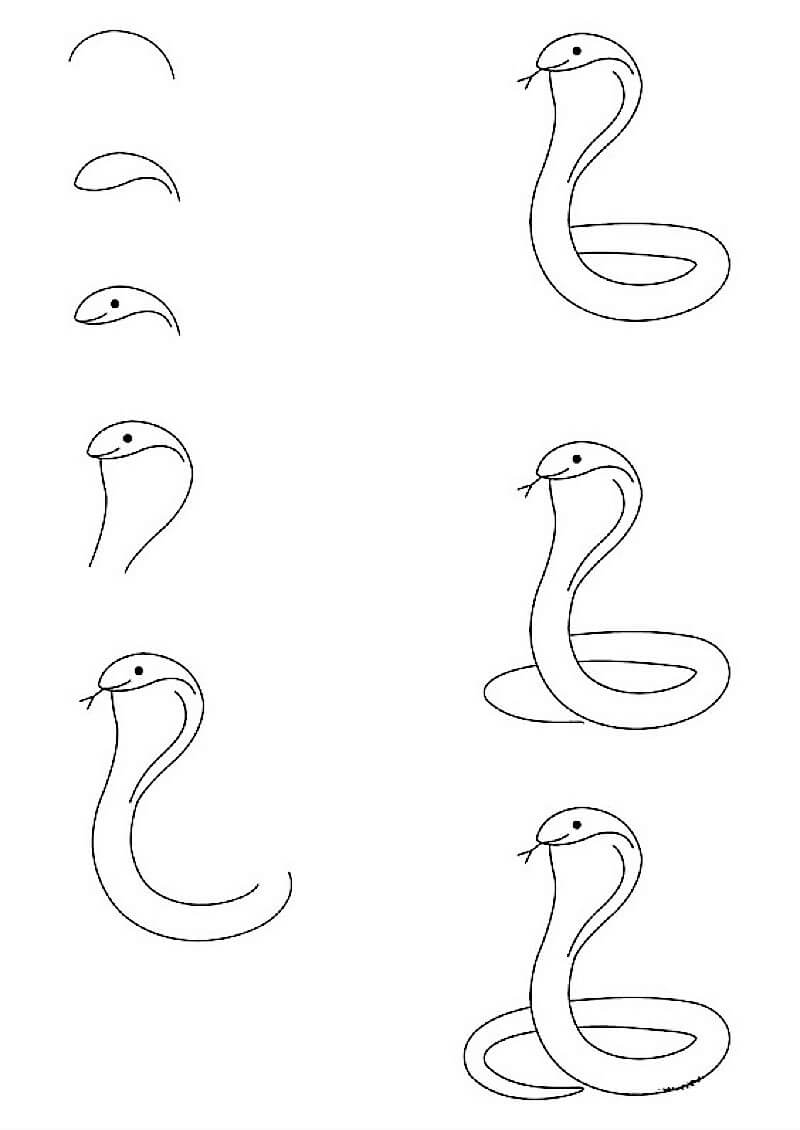 A Simple Cobra çizimi
