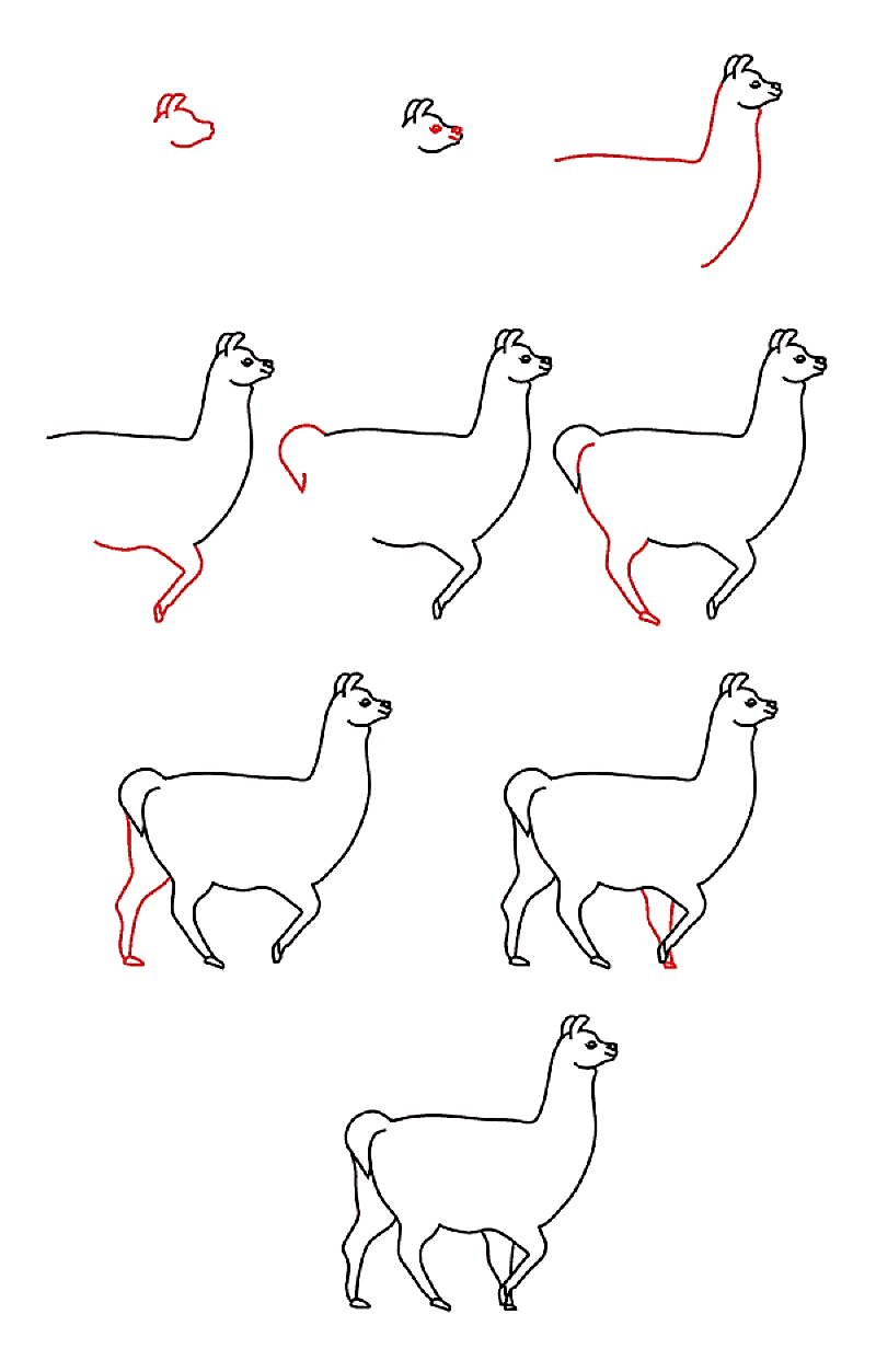 Kolay Bir Lama çizimi