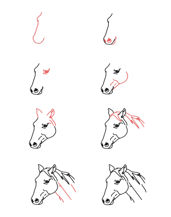 At kafası çizimi
