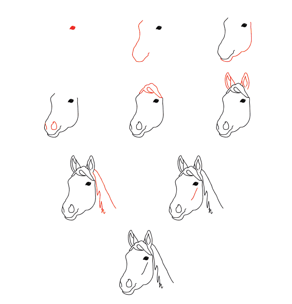 At yüzü çizimi