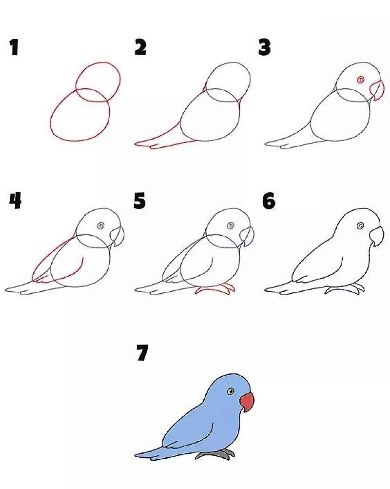 Basit bir papağan çizimi