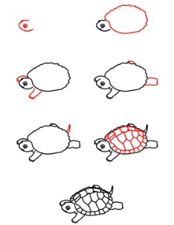 Detaylı bir kaplumbağa çizimi