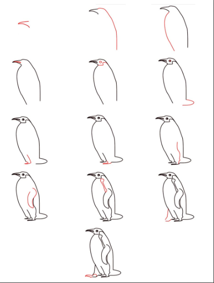 Detaylı penguenler çizimi