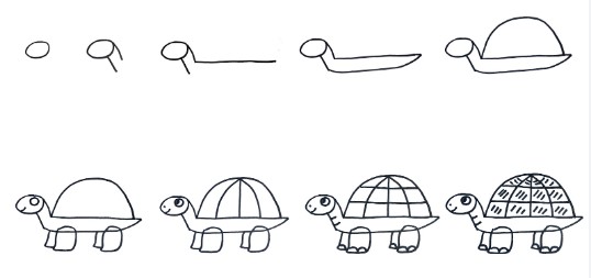 Kaplumbağa fikri 10 çizimi