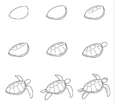 Kaplumbağa fikri 2 çizimi