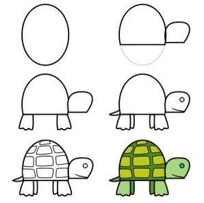 Kaplumbağa fikri 5 çizimi