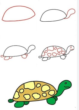 Kaplumbağa fikri 8 çizimi